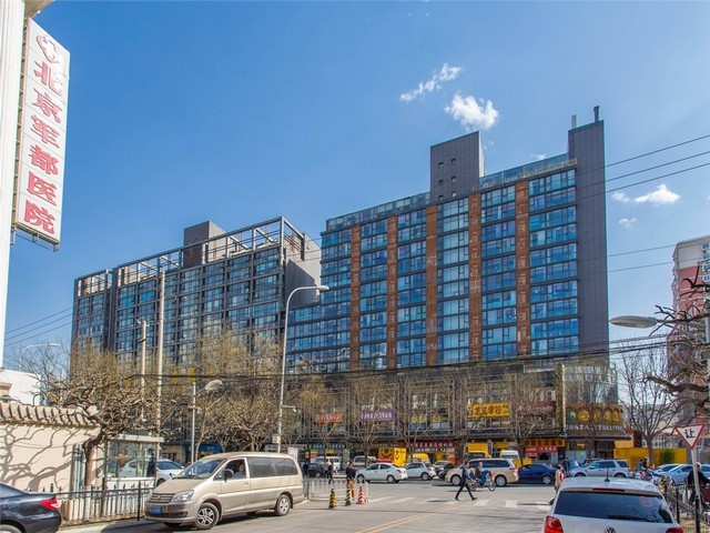 安徽茶树菇厂家直供